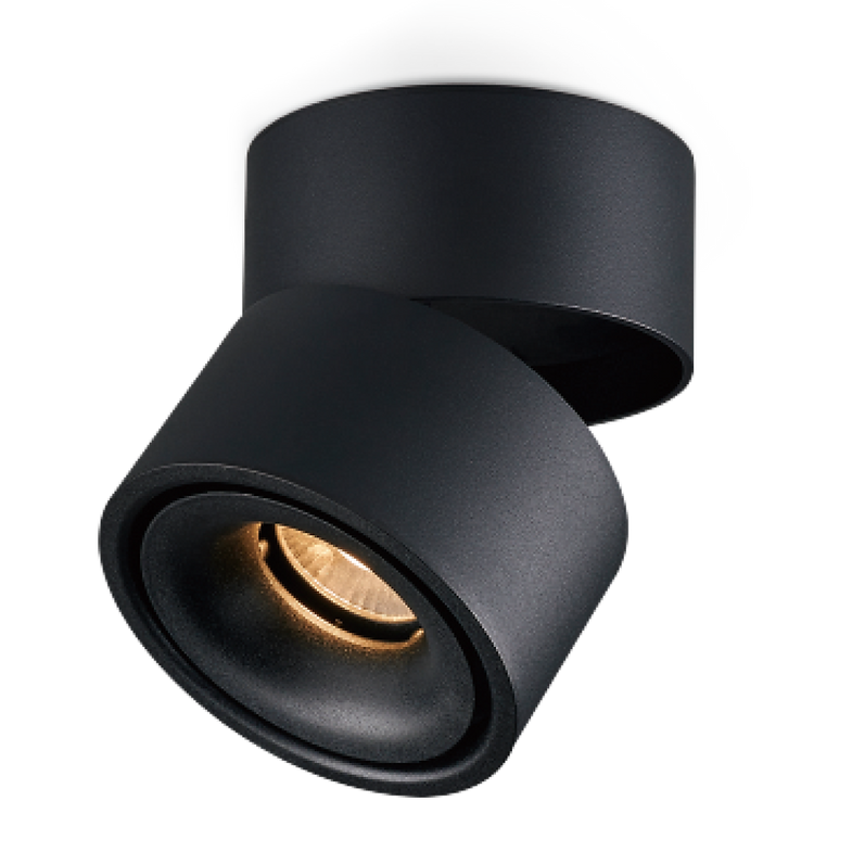 Surface Mounted Downlight Round 12W 3CCT- DL3017