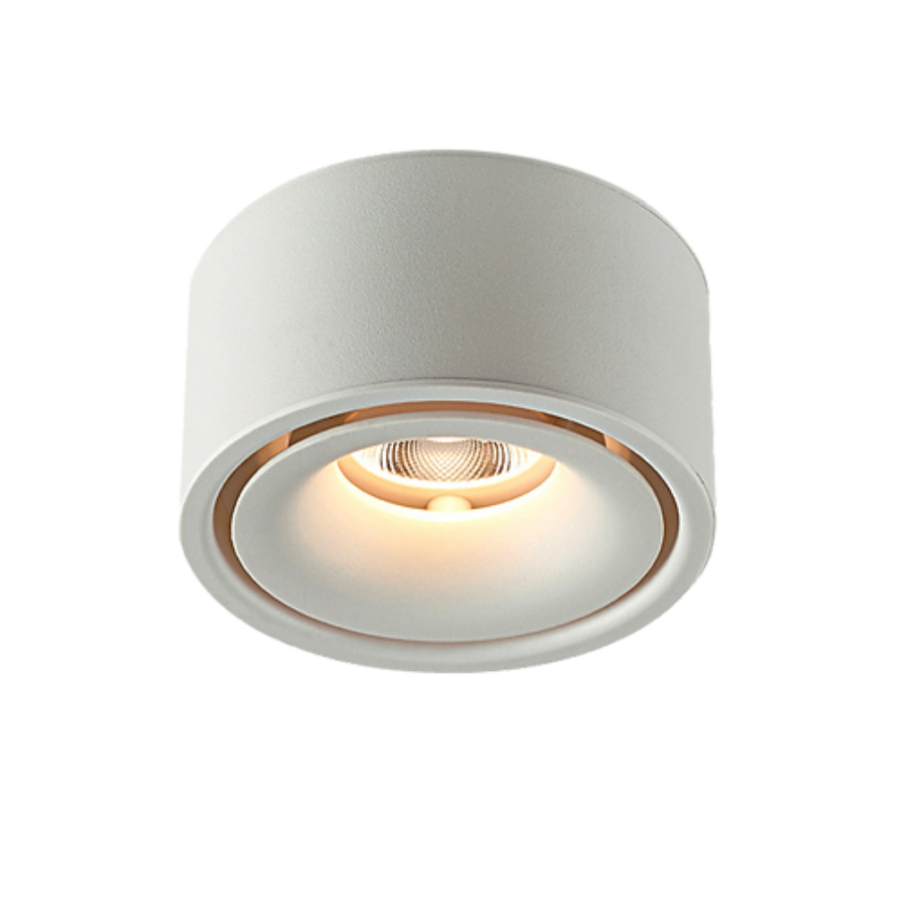 Buy Surface Mounted Downlights Australia Surface Mounted Downlight Round 10W 3CCT- DD1542