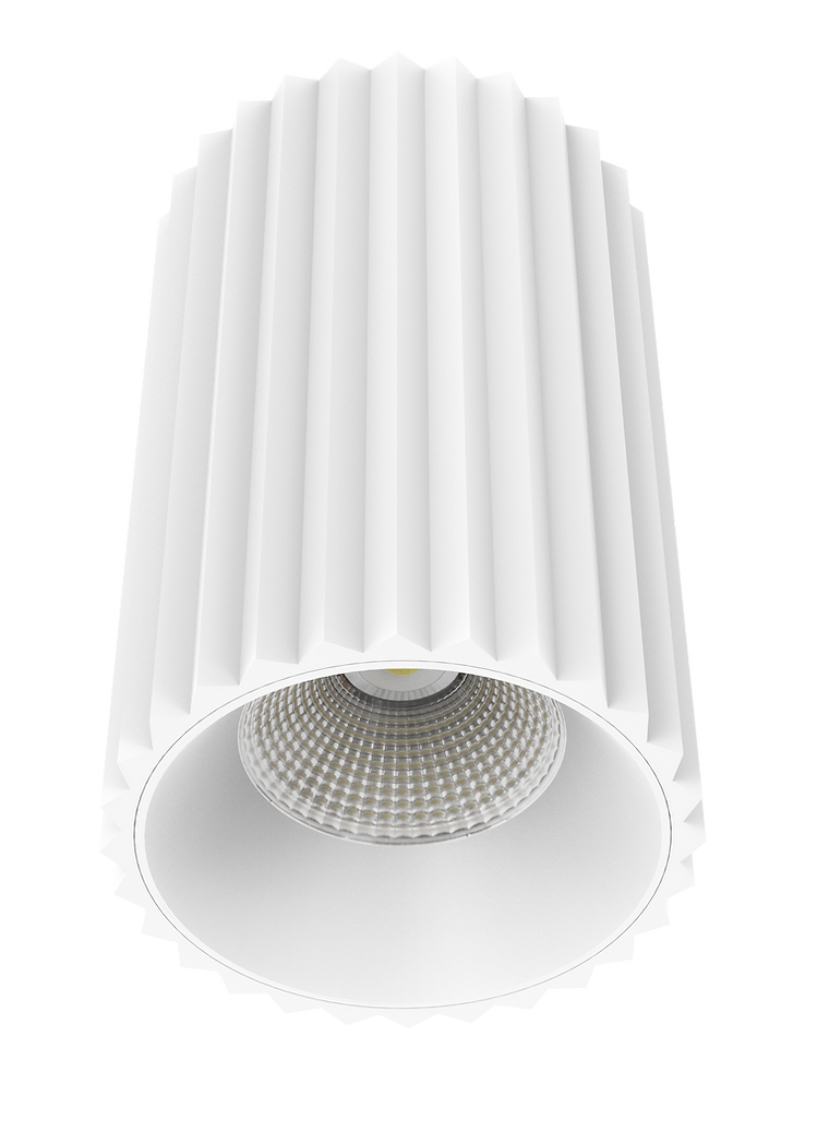 Exterior 140mm LED Surface Mounted Downlight White - DL9014-MW5CTP121518C02