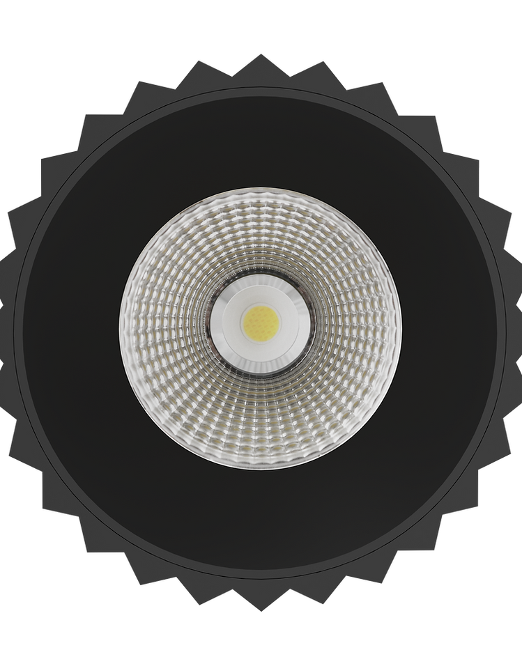 Exterior 180mm LED Surface Mounted Downlight Black - DL13618-MB5CTP253036C02