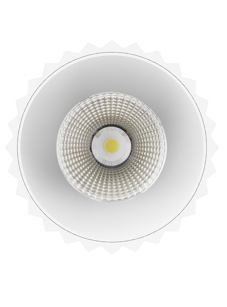 Exterior 180mm LED Surface Mounted Downlight White - DL13618-MW5CTP253036C02