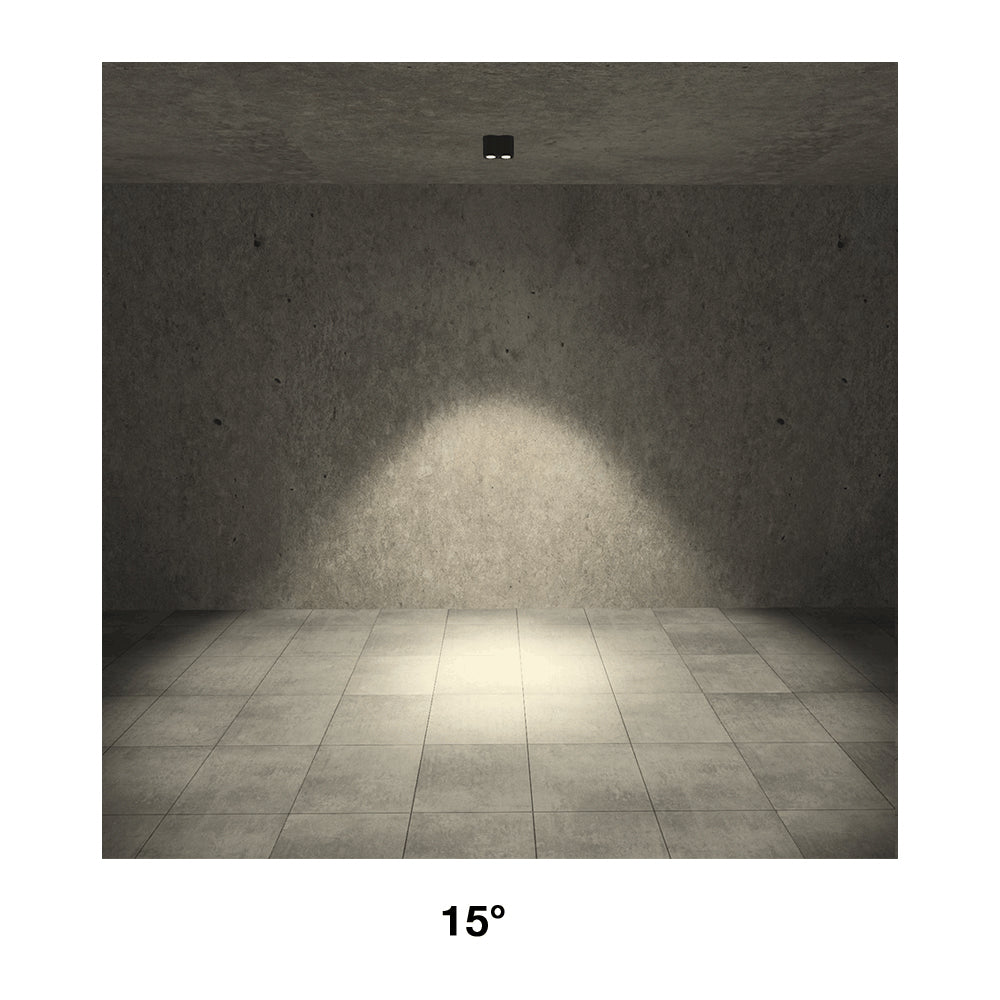 Buy Outdoor Close To Ceiling Lights Australia Intono C Out 3.4 Close To Ceiling 2 Lights Honey 20W CRI80 DALI Aluminium - NC3410