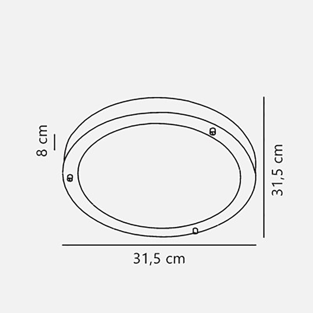 Buy Oyster Lights Australia Ancona Round Oyster 2 Lights Brushed Steel Metal - 25316132