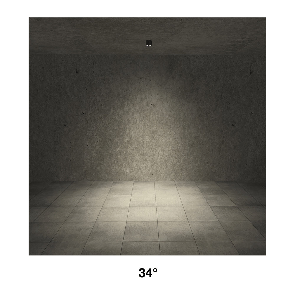 Buy Outdoor Close To Ceiling Lights Australia Intono C Out 2.4 Close To Ceiling 2 Lights Honey 12W CRI90 Aluminium- NC2410