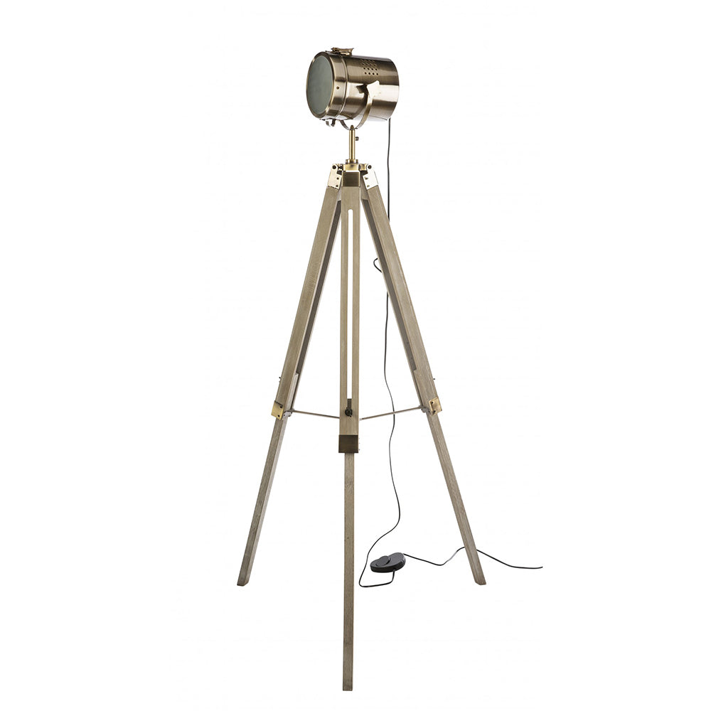 Buy Floor Lamps Australia Fiorentino Lighting - CINEMA 1 Light Floor Lamp