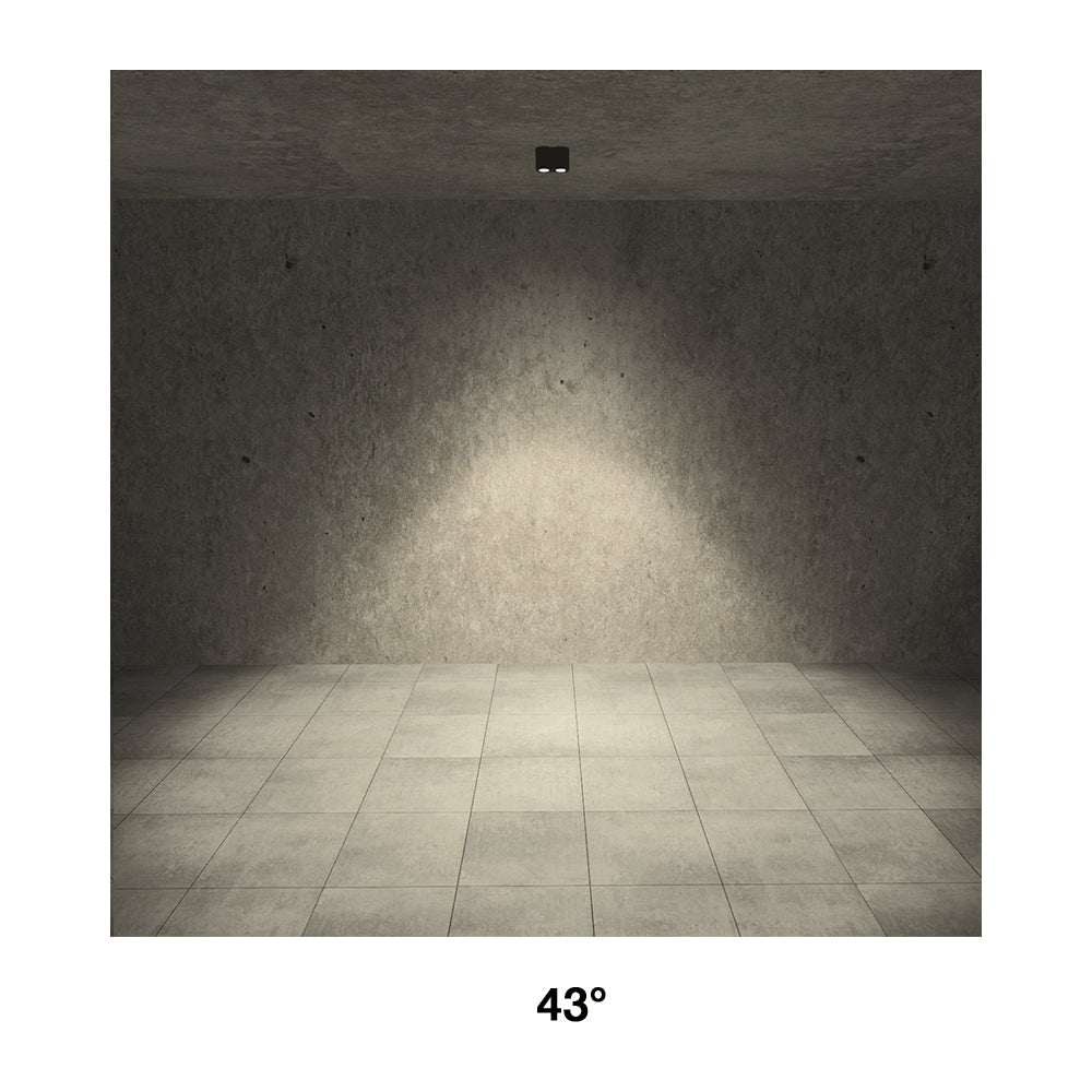 Buy Outdoor Close To Ceiling Lights Australia Intono C Out 3.4 Close To Ceiling 2 Lights 20W CRI80 On / Off Aluminium - NC3410