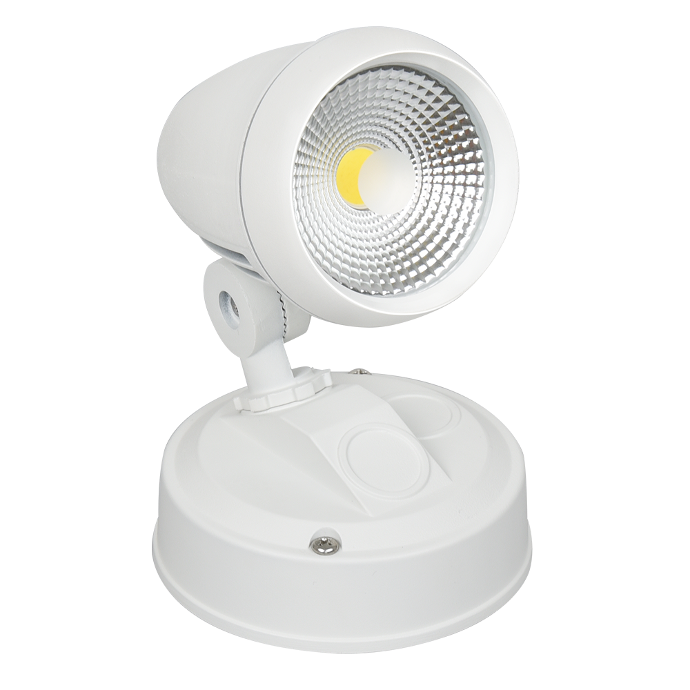 Buy Exterior Wall Lights Australia Seculite Exterior Wall Light White 5000K - 203025