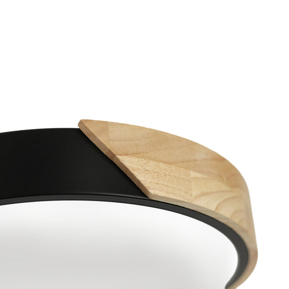 Celestia LED Small Flush Mount Light 13W 3CCT Black - LL002CL124SB