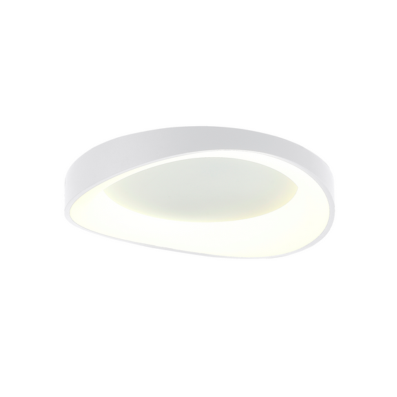 Hayley Large LED Flush Mount Light 40W Tri Colour White - LL002CL131LW