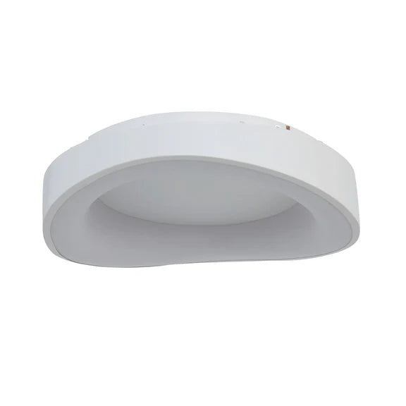 Hayley Large LED Flush Mount Light 40W Tri Colour White - LL002CL131LW