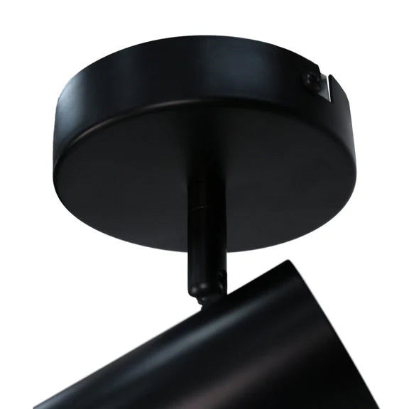 Brianna Spot Light Matt Black - LL002SL004B