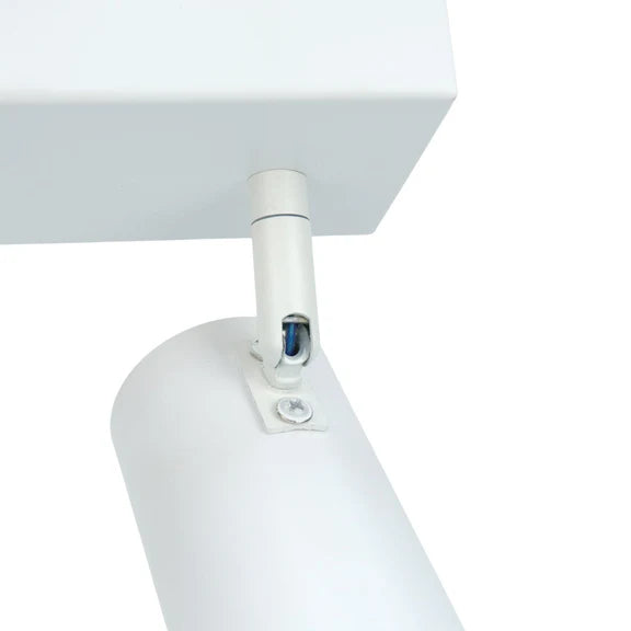 Brianna 2 Light Spot Light Matt White - LL002SL005W