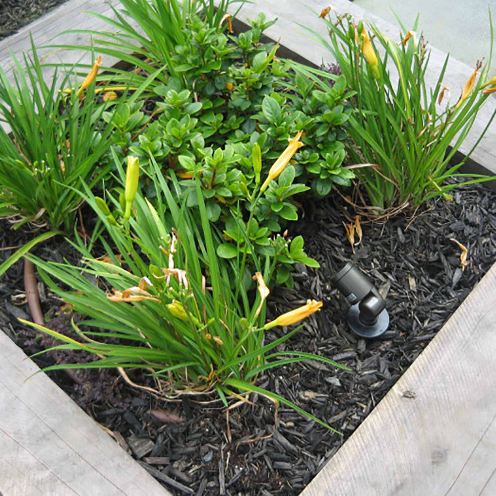 Buy Spike Lights Australia Spike Light 12V Blue - LLED7010BE