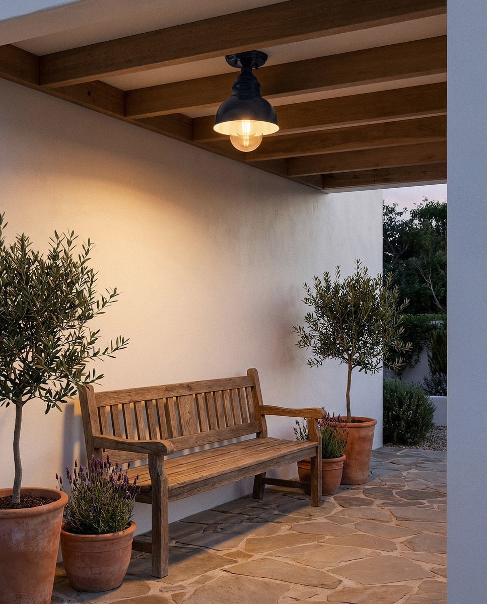 Parkway Small Outdoor Close to Ceiling Light French Blue & Clear - 1001706