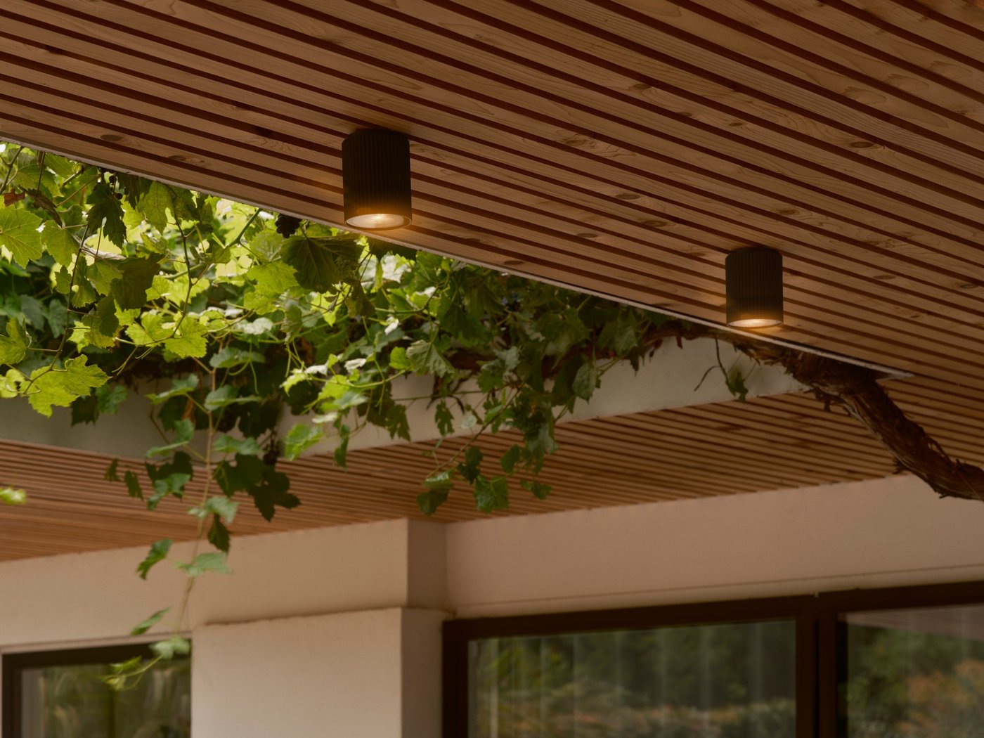 Kyklop Surface Mounted Downlight Black - 2518316003