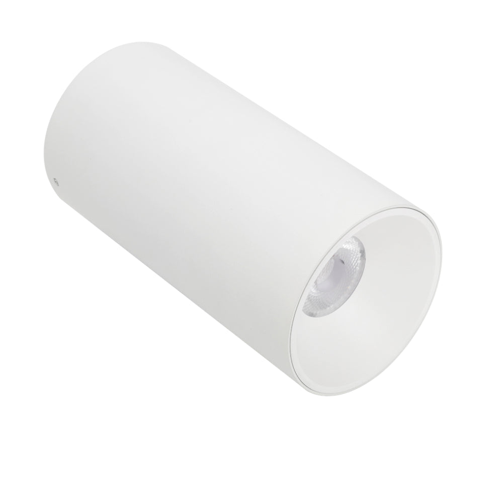 Oren LED Surface Mounted Downlight 24W TRI Colour White - OREN CTC918-WH3C