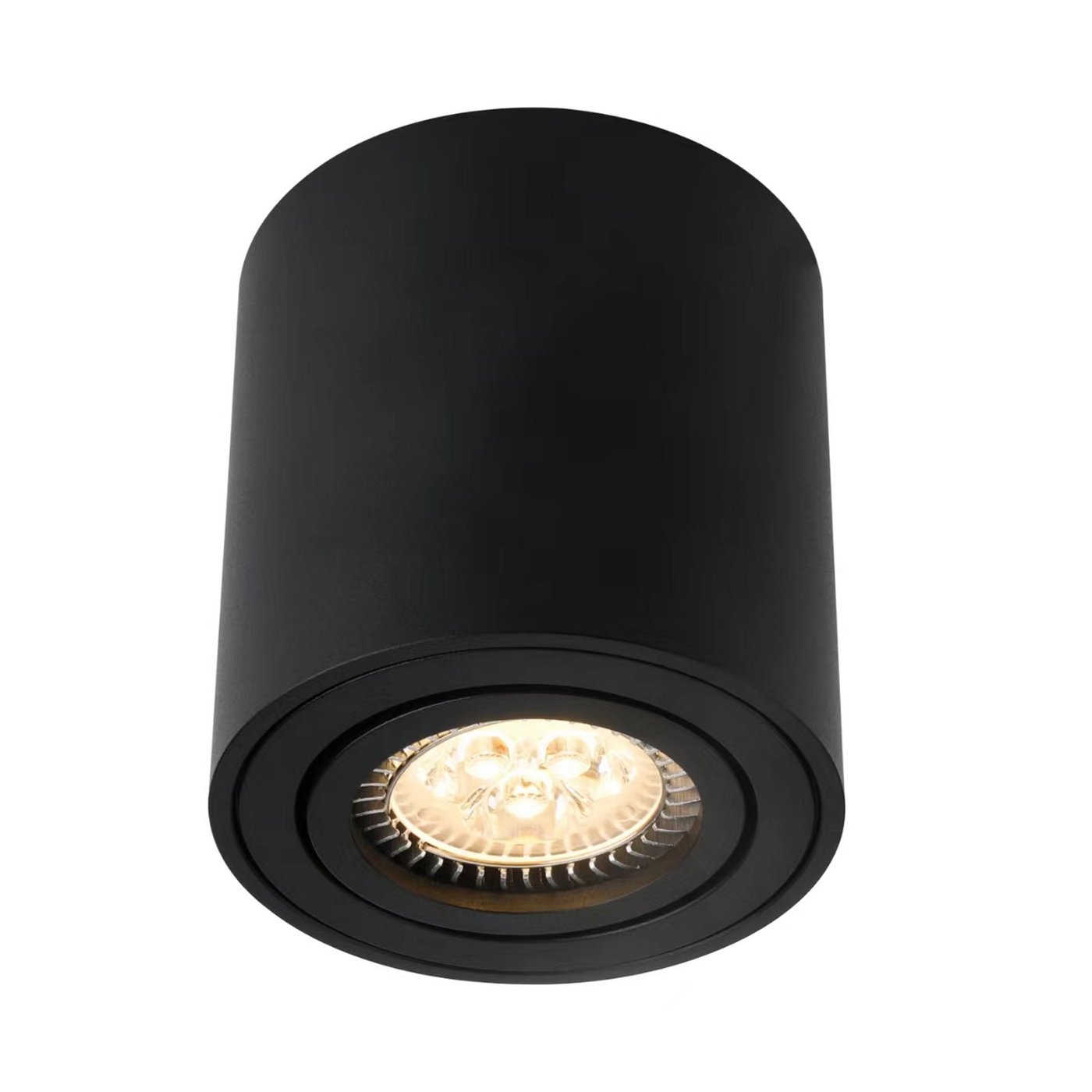 Sabonis Aluminium Surface Mounted Downlight Black - 2410220103