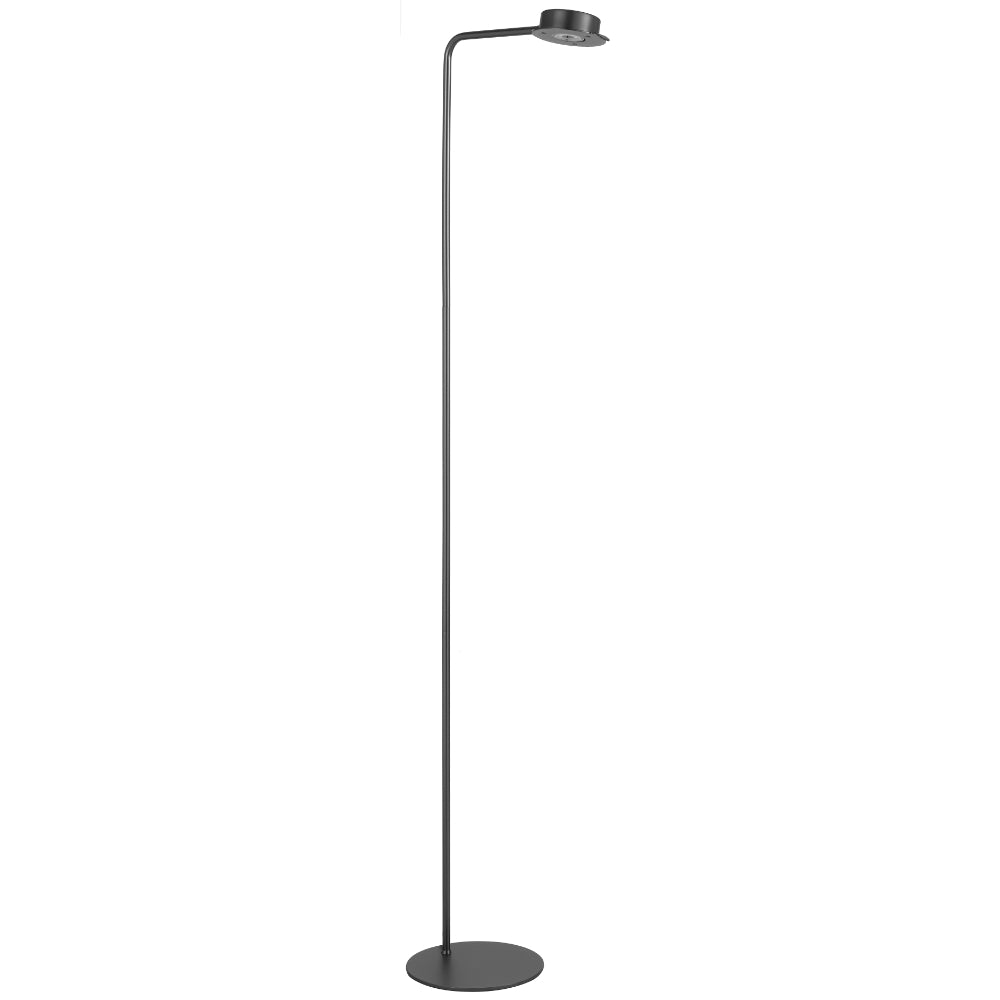 Tarell LED Floor Lamp 6W 3000K Gun Metal - TARELL FL-GM