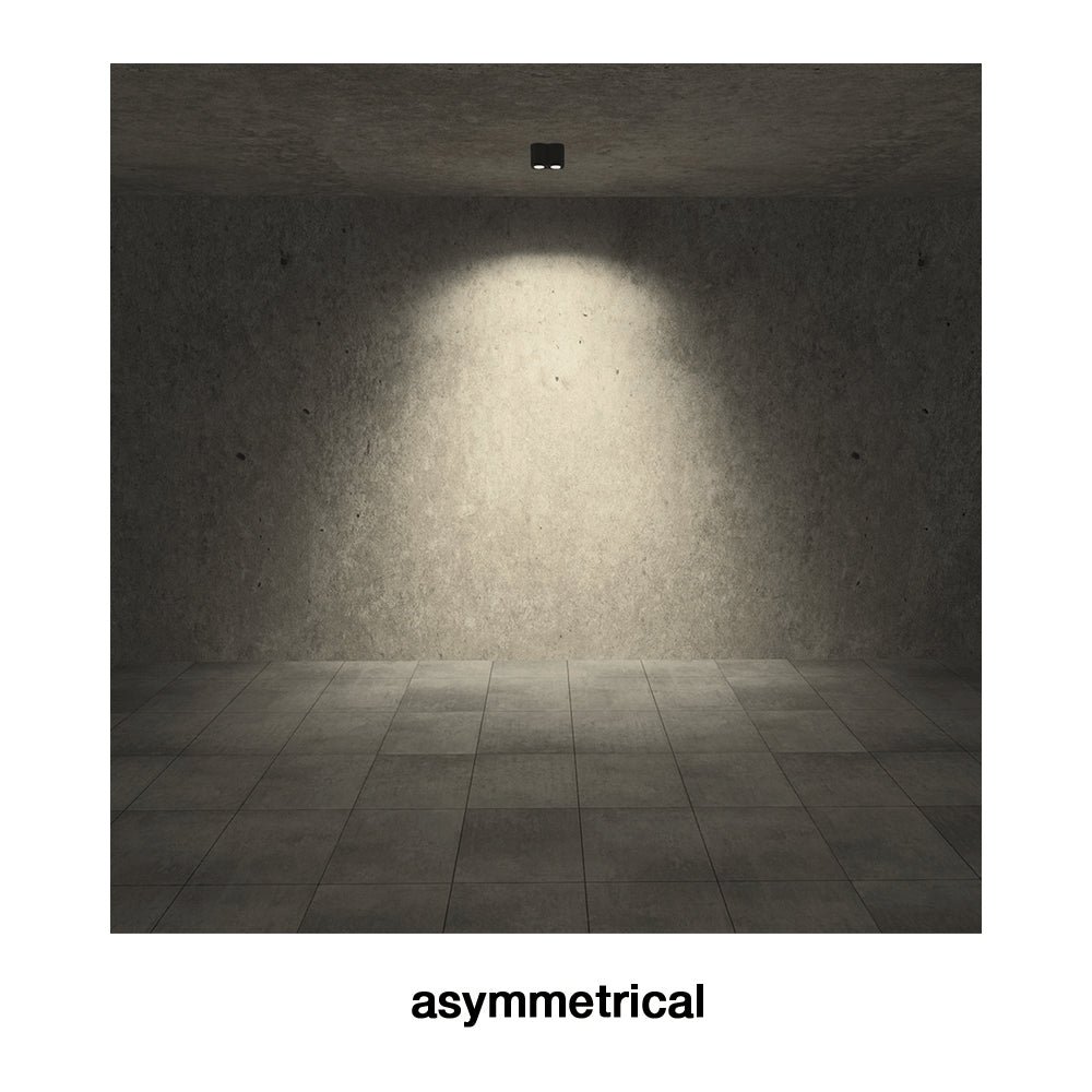 Buy Outdoor Close To Ceiling Lights Australia Intono C Out 3.4 Close To Ceiling 2 Lights 20W CRI90 DALI Aluminium - NC3410