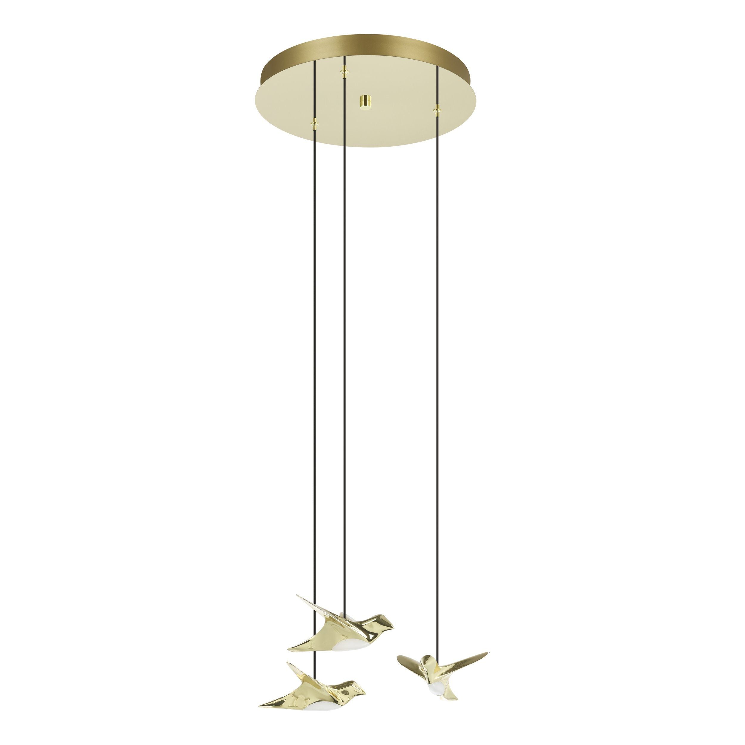 Paratebueno 3 Light Pendant Black & Brass - 207165
