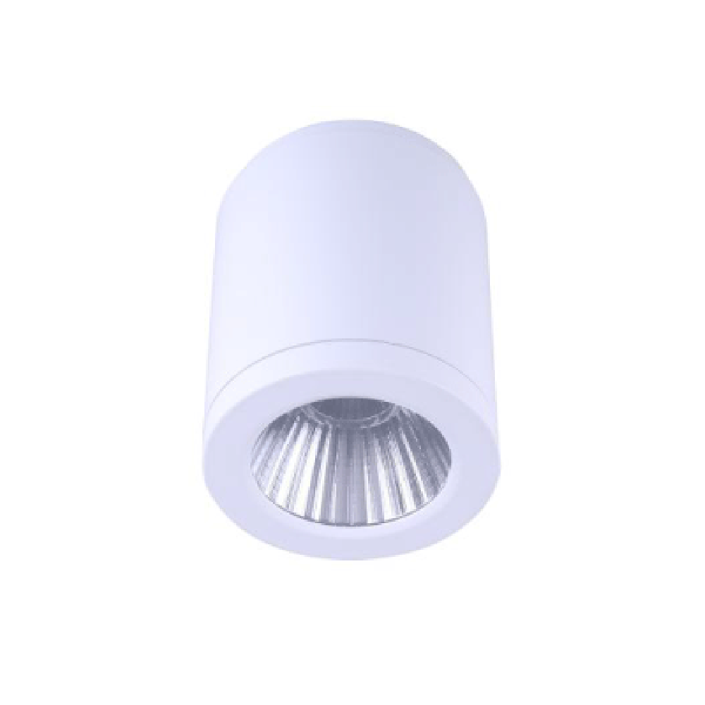 Surface Mounted Downlight W90mm White Aluminium 3 CCT - DL2082/WH/TC