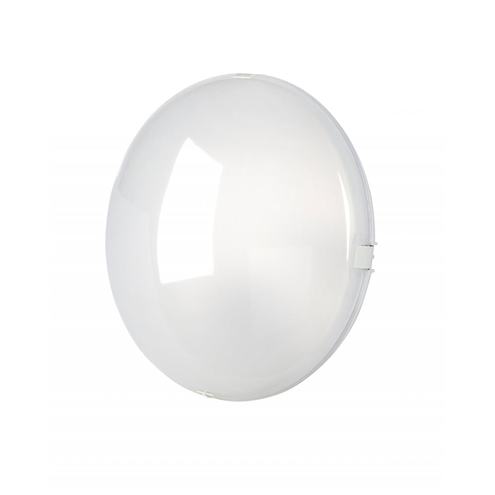 Buy Oyster Lights Australia Fiorentino Lighting - TERICA 1 Light Oyster White