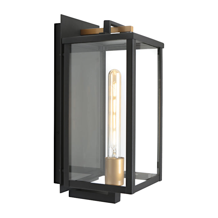 Lille Exterior Wall Light Black & Clear - LILL1EBLK