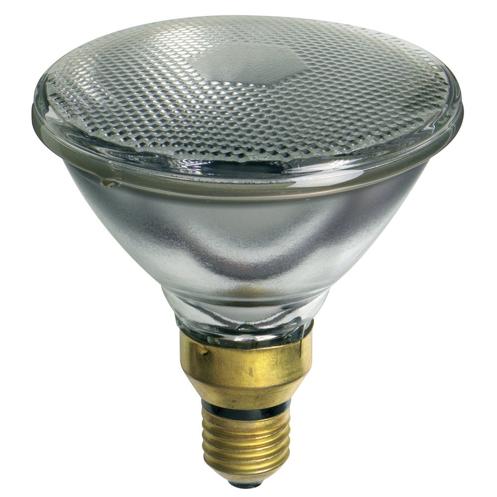 PAR38 Halogen Flood Globe 120W ES - PAR38120WFL - 30901