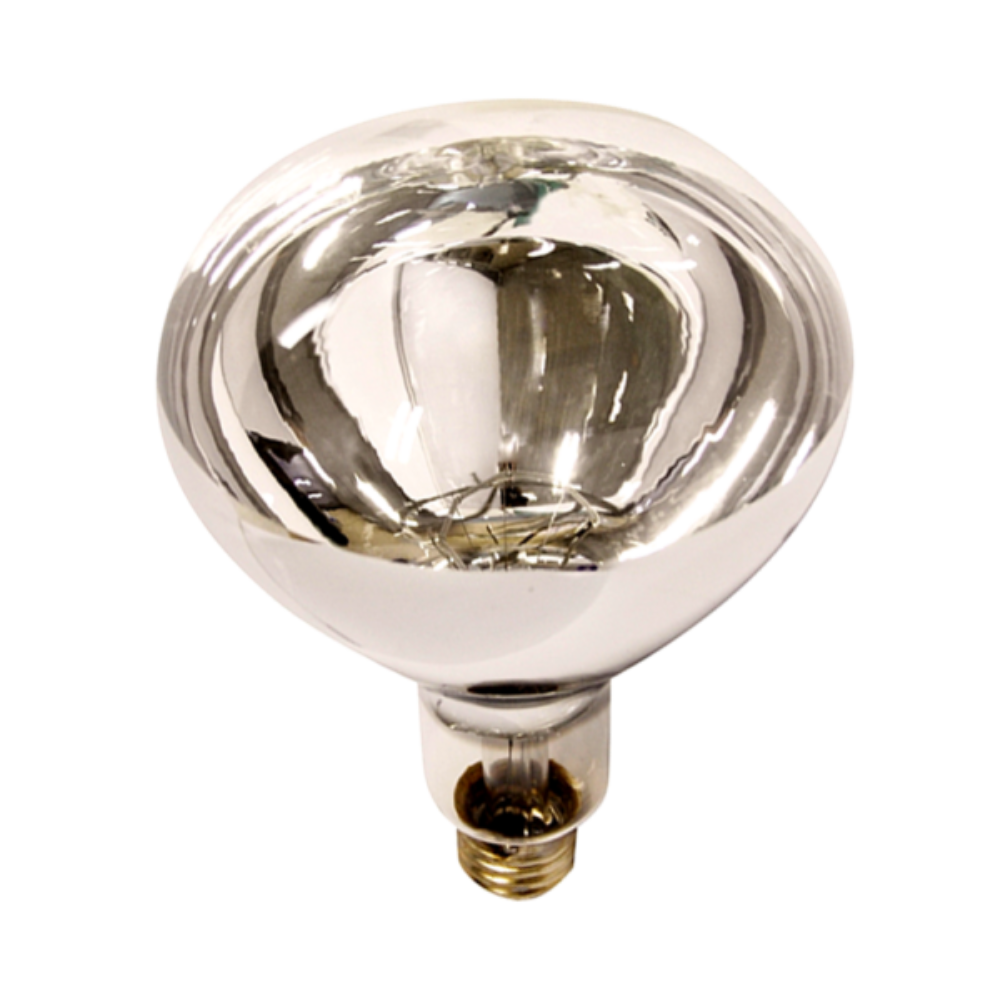 Buy Heat Globes Australia Heat Globe ES 240V 275W Shatterproof Clear Glass 2700K - VB9275SP