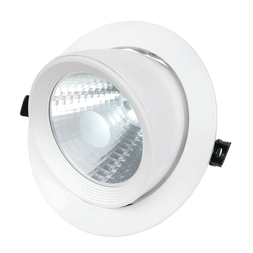 Buy Downlights Australia Griffin CCT 30W Round Snorkel Shoplight White - 20458/05