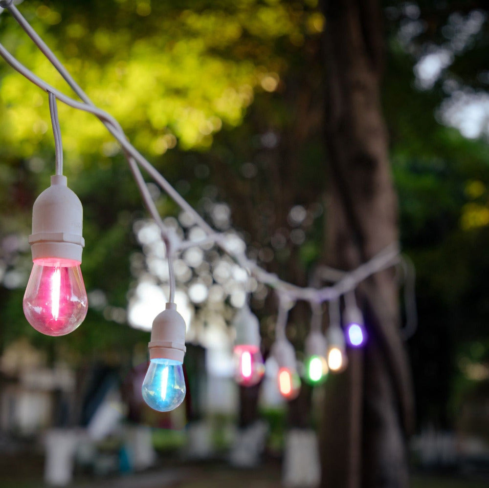 Buy Festoon Lights Australia Outdoor Festoon 10 Light Kit Hanging White 12V Multi Colour - 205401N