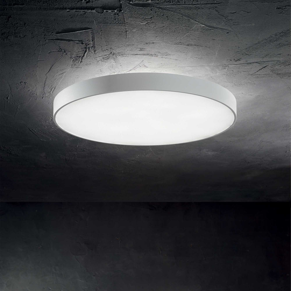 Buy LED Oyster Lights Australia Halo Pl LED Oyster Light W350mm White Aluminum 3000K - 223186