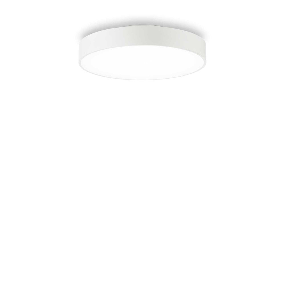 Buy LED Oyster Lights Australia Halo Pl LED Oyster Light W350mm White Aluminum 3000K - 223186