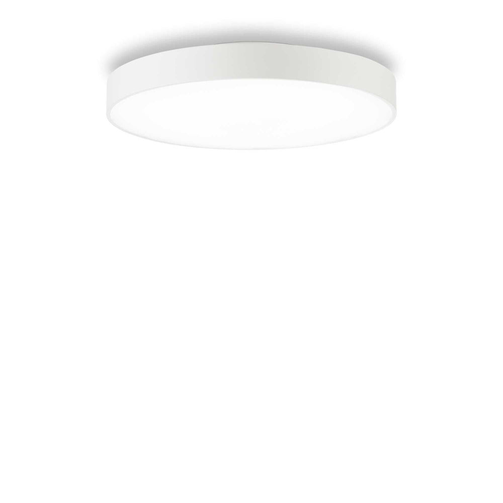 Buy LED Oyster Lights Australia Halo Pl LED Oyster Light W450mm White Aluminum 3000K - 223209