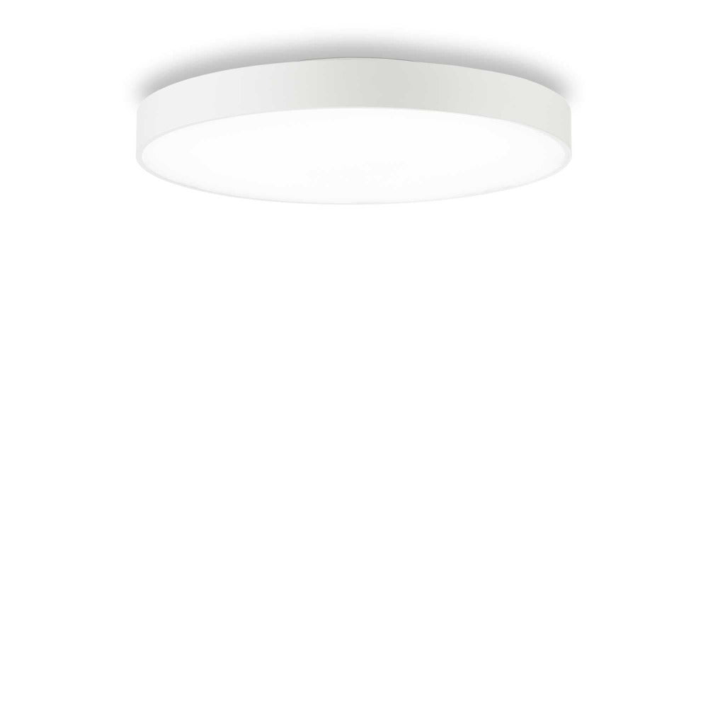Buy LED Oyster Lights Australia Halo Pl LED Oyster Light W600mm White Aluminum 3000K- 223223
