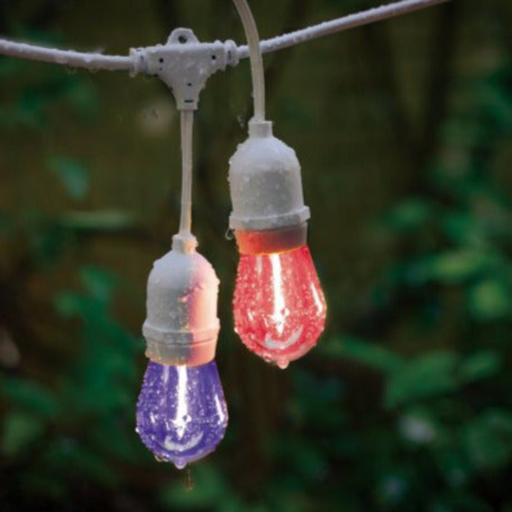 Buy Festoon Lights Australia Solar Festoon 10 Lights 12V Black Plastic 2700K - 205718N