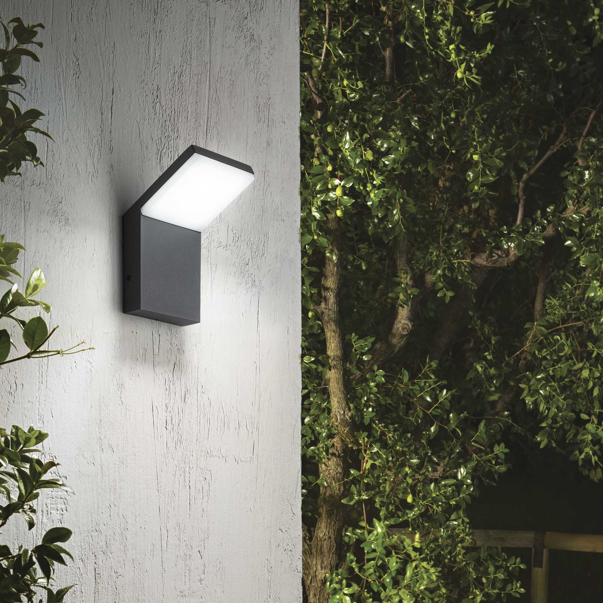 Buy Exterior Wall Lights Australia Style Ap Exterior Wall Light Aluminum 4000K - 2215