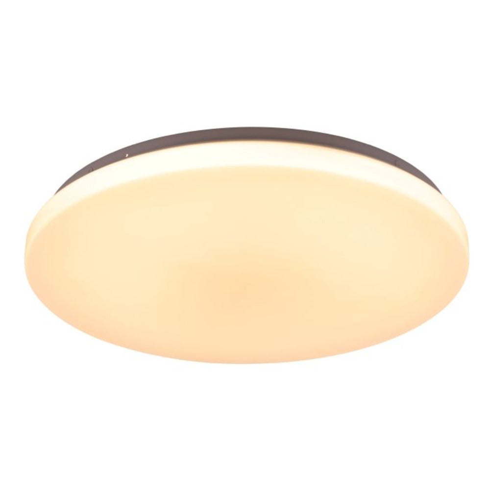 Buy Oyster Lights Australia Diego Oyster 6 Lights White Steel 3 CCT - 205667