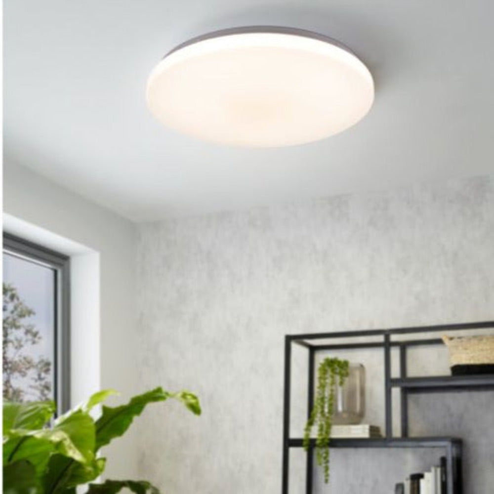 Buy Oyster Lights Australia Diego Oyster 4 Lights White Steel 3 CCT - 205666