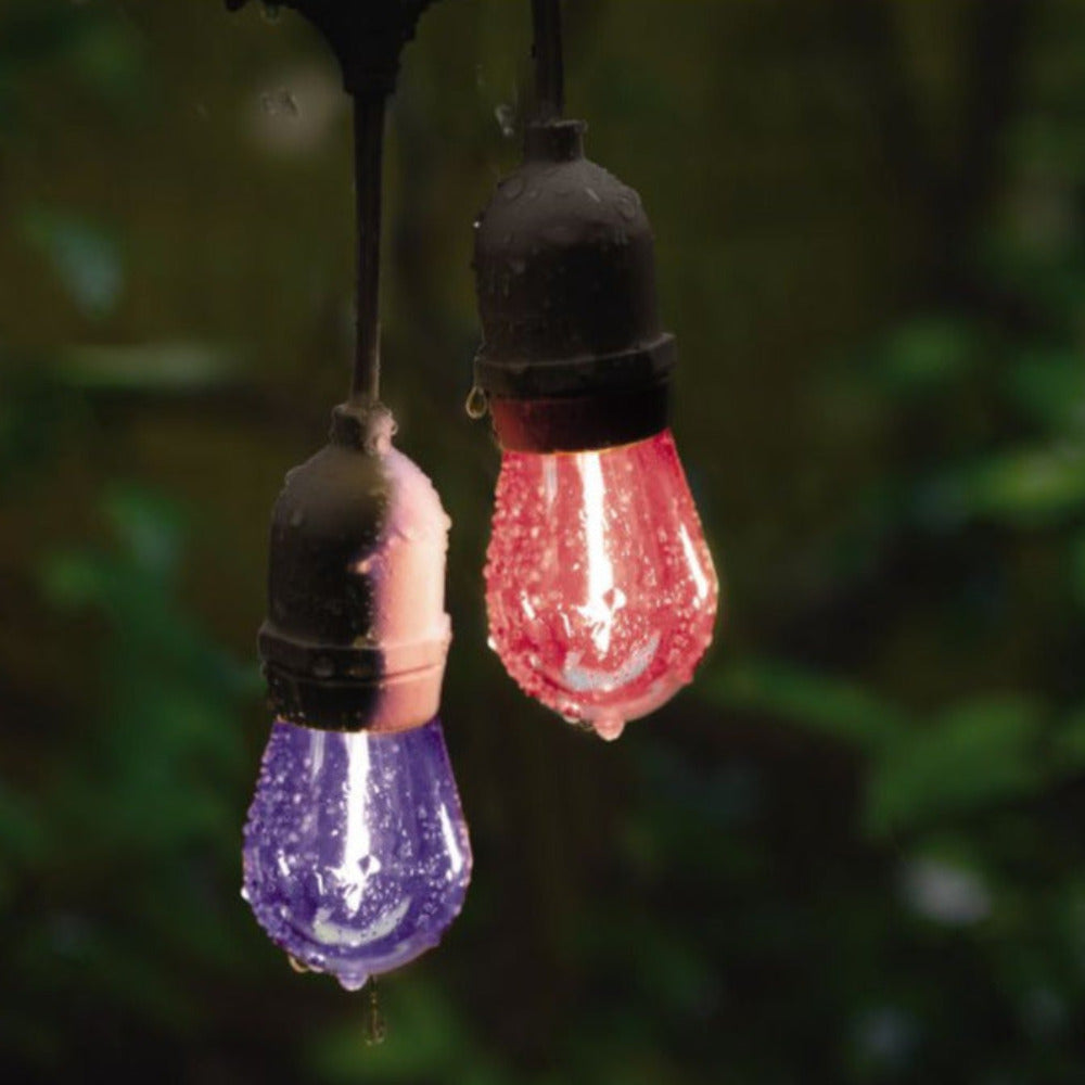 Buy Festoon Lights Australia Solar Festoon 10 Lights 12V Black Plastic 2700K - 205717N