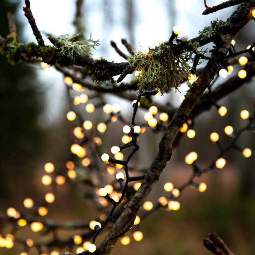 Buy Christmas Lights Australia Berry Lights x700 LED Warm White 14m - 411351N