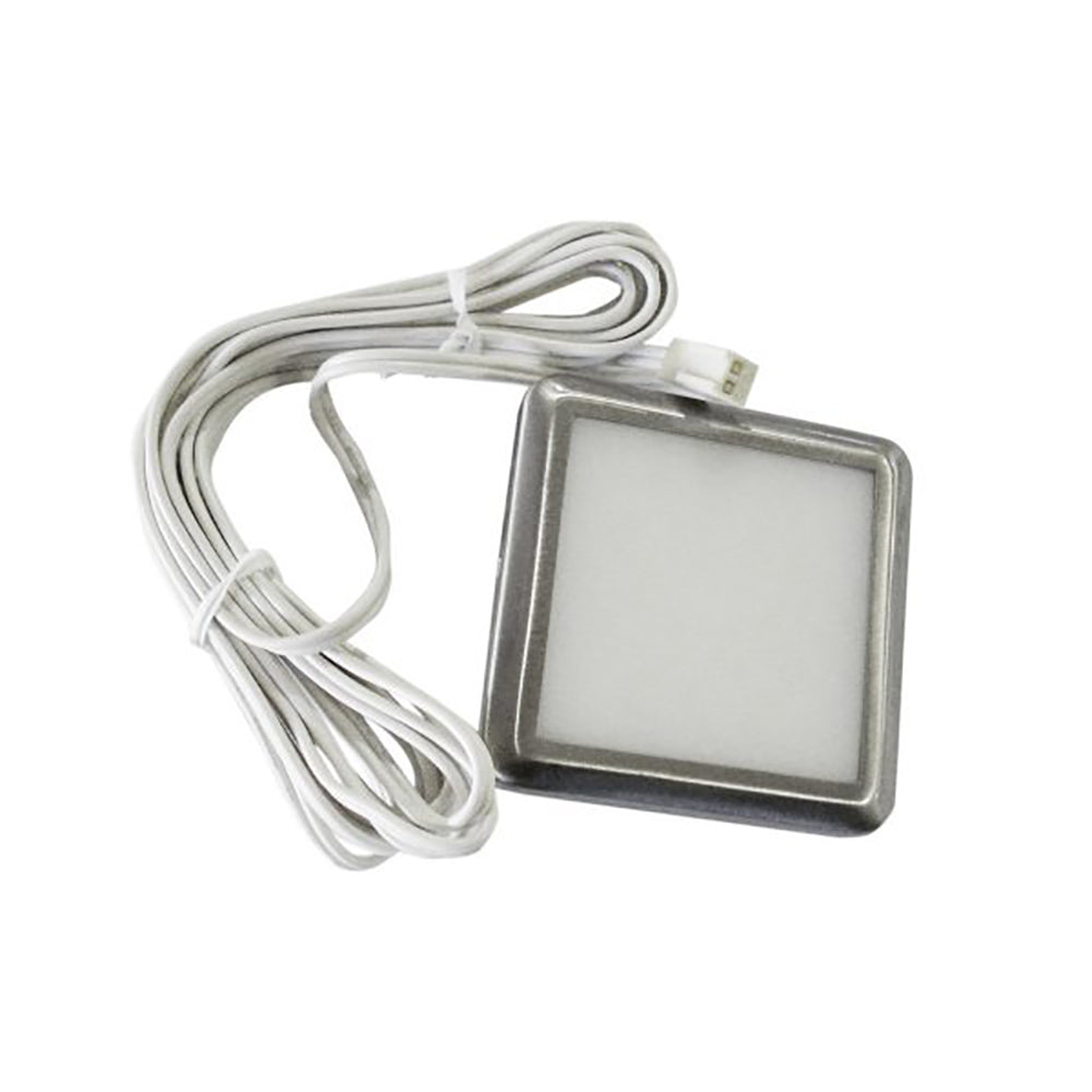 Buy Recessed LED Downlights Australia Square Under Bench Downlight 12V White Stainless Steel 3200K - CLALEDSQSCUBWW