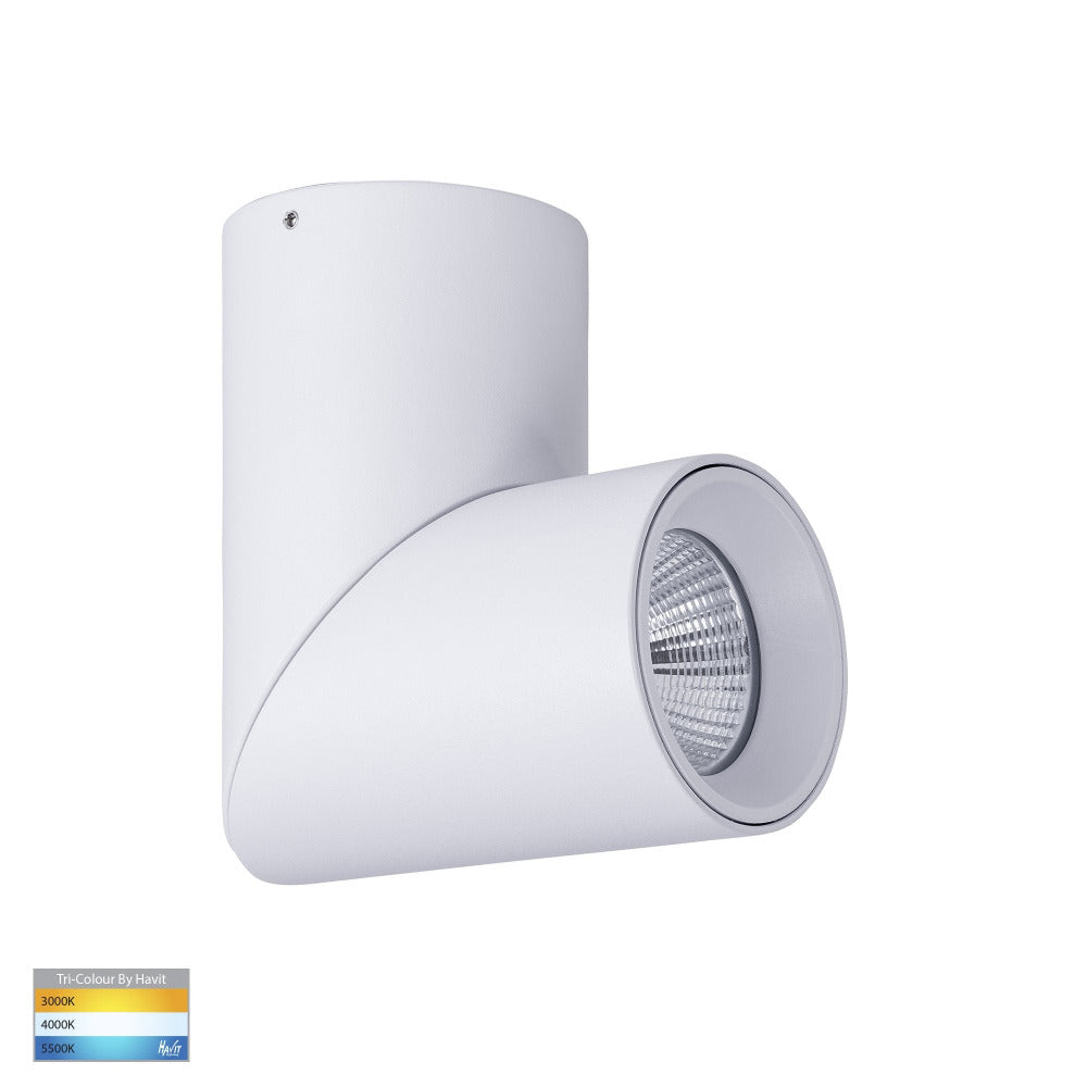 Buy Surface Mounted Downlights Australia Nella Surface Mounted Downlight 12W White 3CCT - HV5823T-WHT