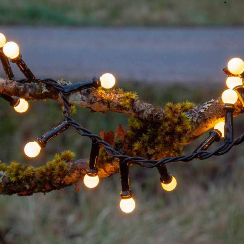 Buy Christmas Lights Australia Berry Lights x300 LED Warm White 6m - 411348N