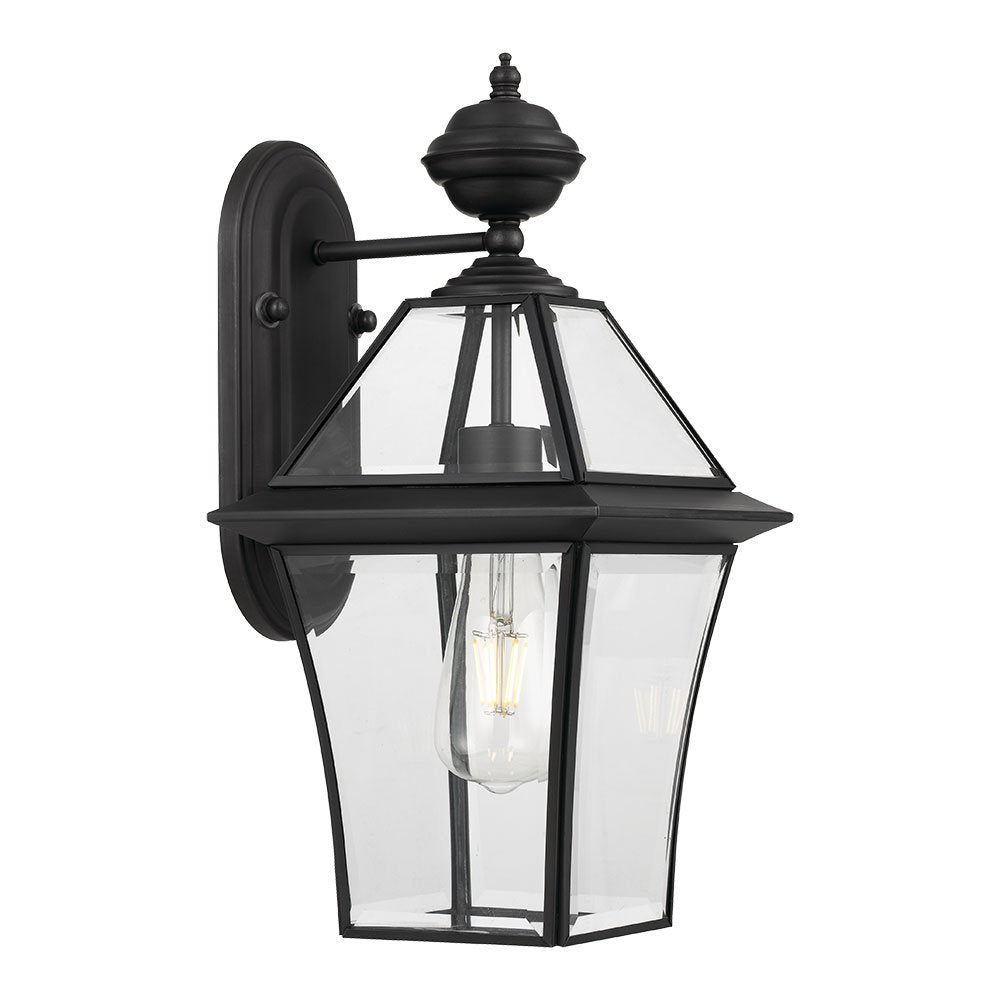 Rye 1 Light Wall Light IP44 Black & Clear - RYE EX20-BK