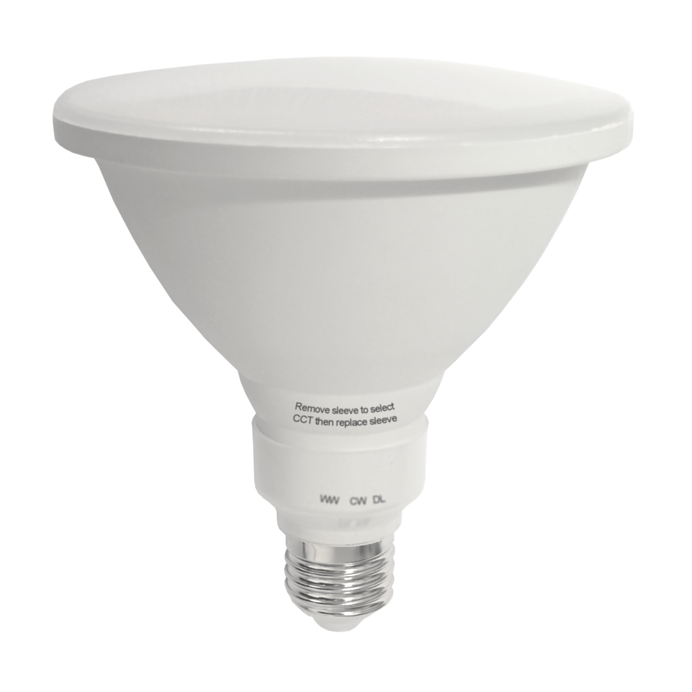 Buy LED Globes Australia LED Globe 240V 12W ES Opal Polycarbonate 3CCT - LPAR38TC