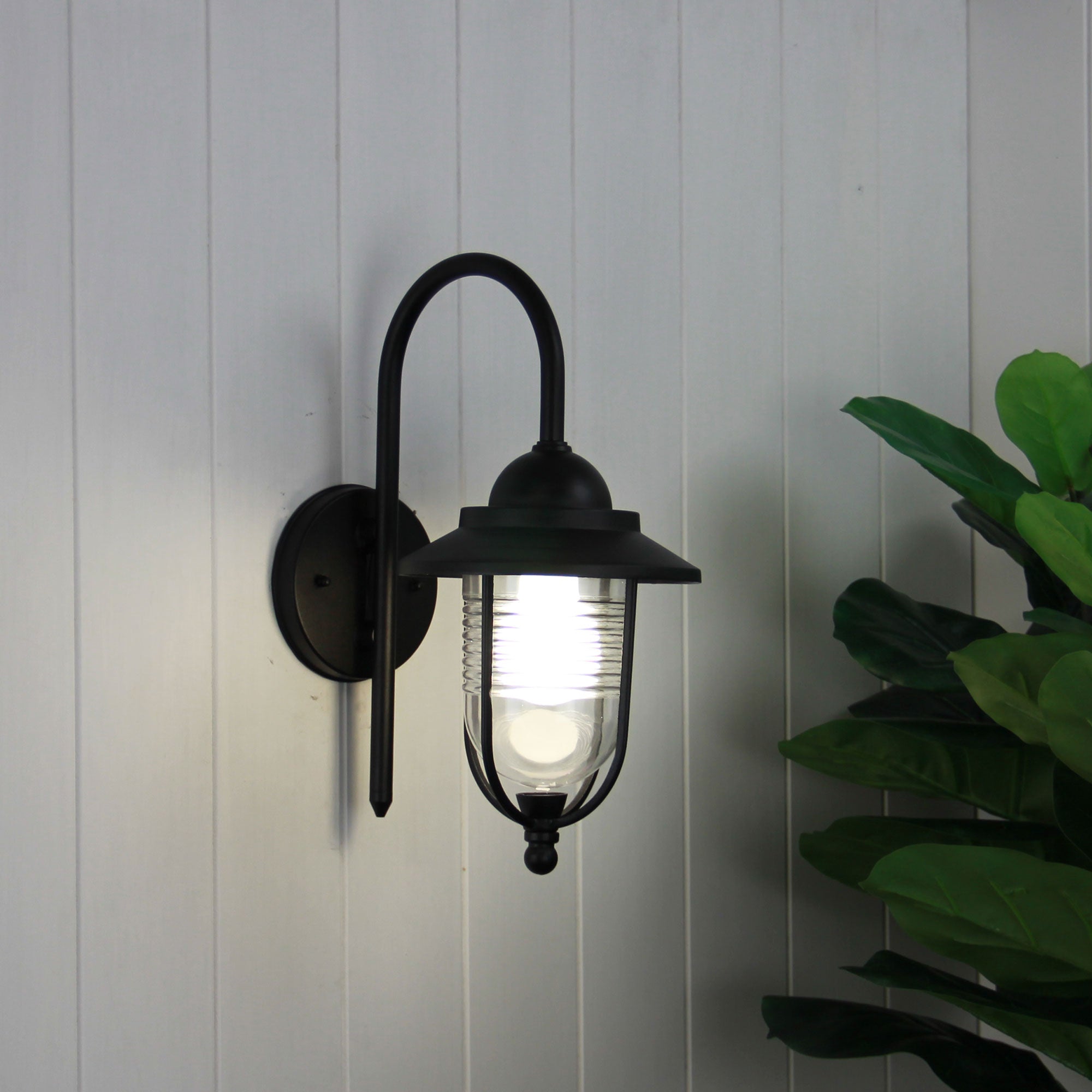 Buy Outdoor Wall Lanterns Australia Domo 1 Light Wall Light Black & Clear - OL7850BK