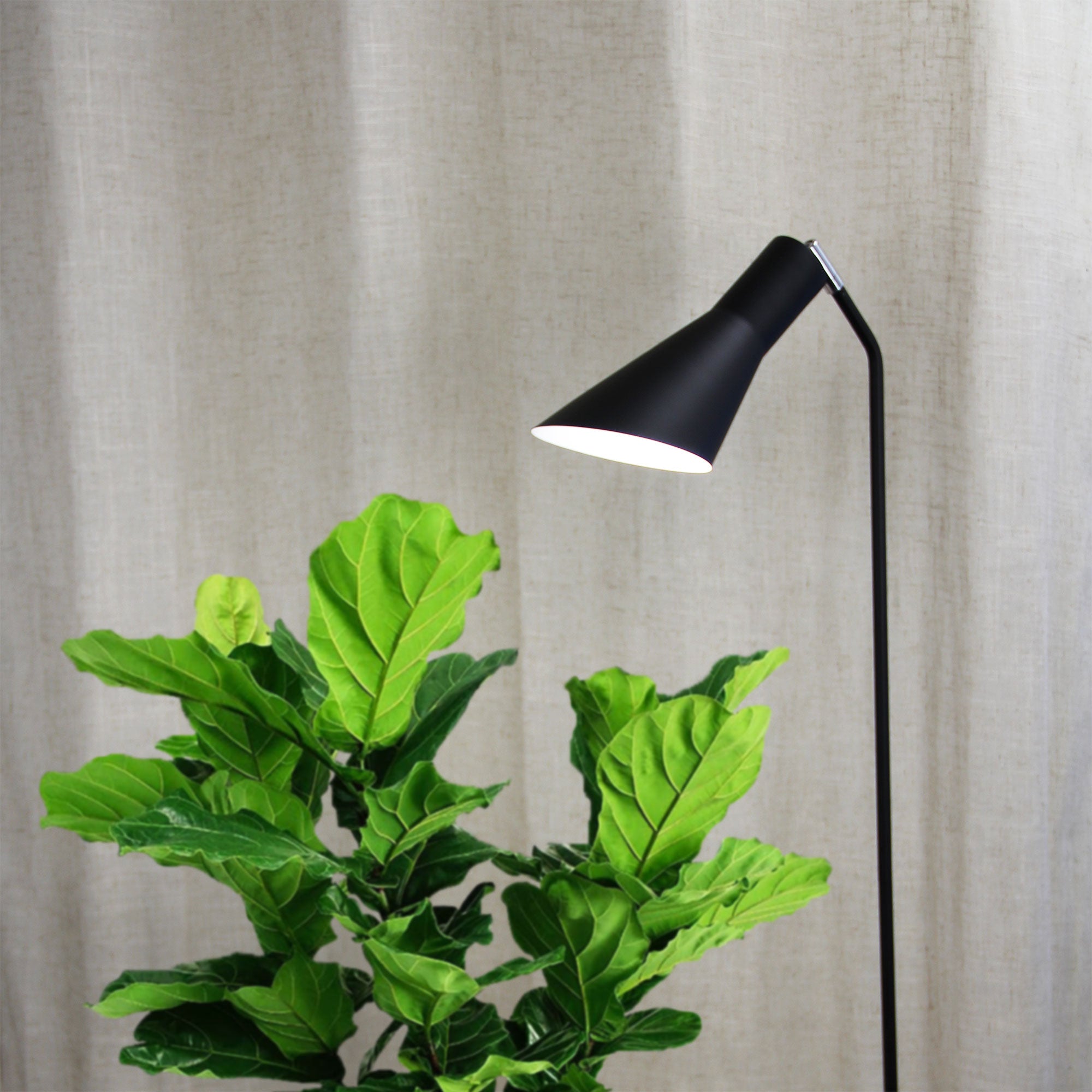 Buy Floor Lamps Australia Thor 1 Light Floor Lamp Black - OL93933BK