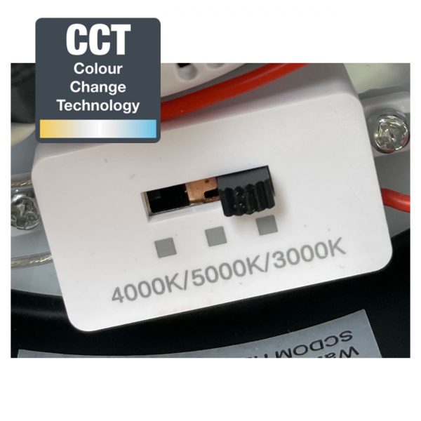 Buy LED Pendants Australia Nebula LED Ring Pendant 400mm Black Metal TRI Colour - OL60614/40BK