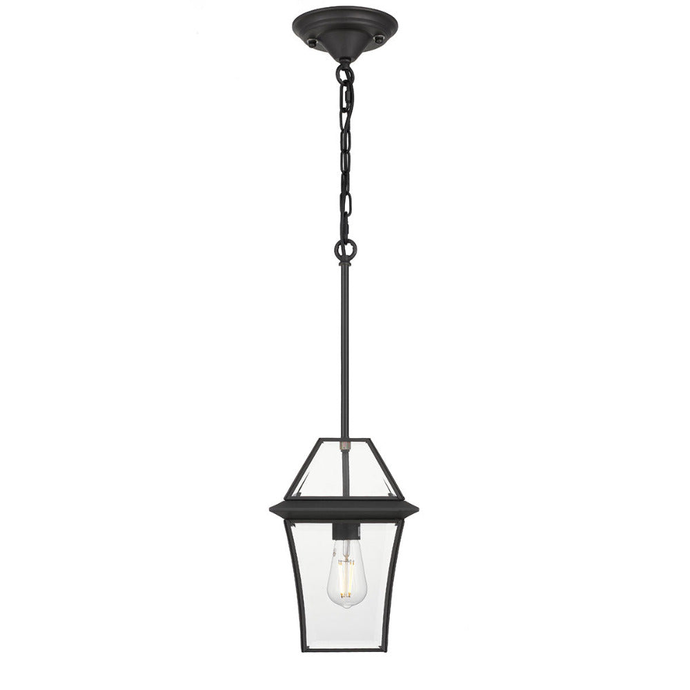 Buy Outdoor Pendant Lights Australia Rye 20 1 Light Pendant Black, Clear RYE PE20-BK